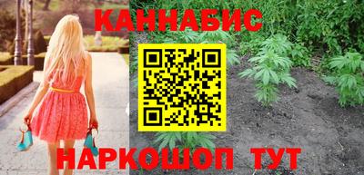 индика Будённовск