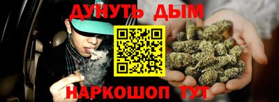 индика Будённовск