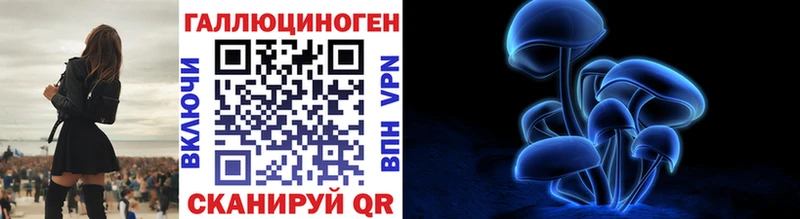 Псилоцибиновые грибы Psilocybe Керчь