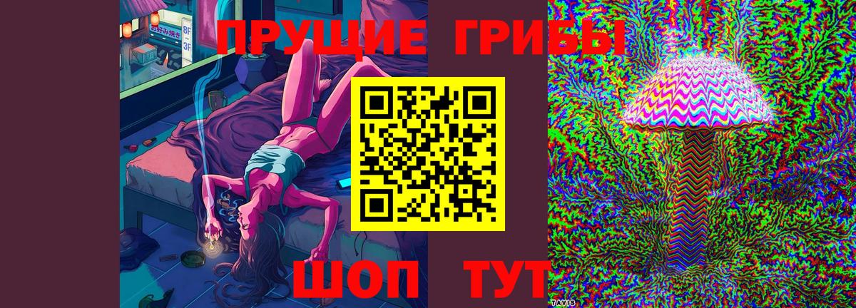 Керчь  Псилоцибиновые грибы GOLDEN TEACHER  Вход с VPN 
