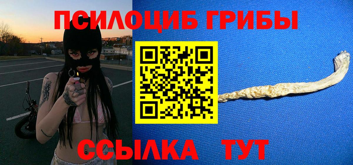 наркошоп  Керчь  Псилоцибиновые грибы Psilocybine cubensis 